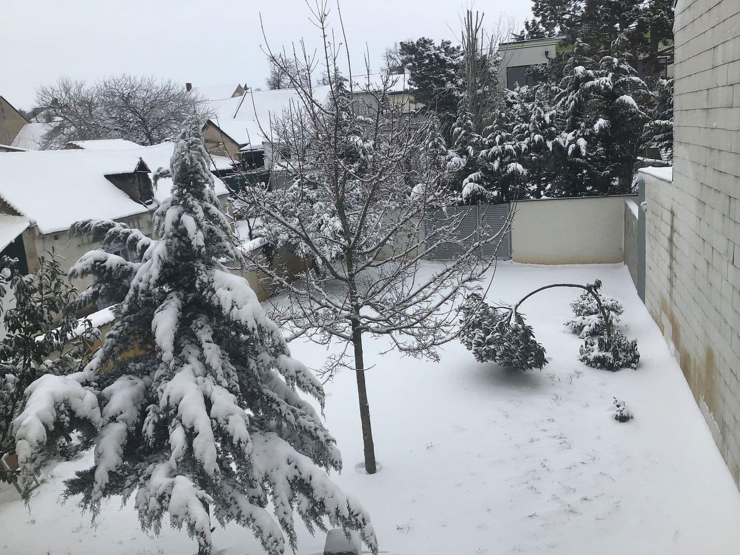 Prodej domu 100 m², pozemek 578 m², Neusiedl am See, Hradsko Prodej domu 100 m², pozemek 578 m², Neusiedl am See, Hradsko