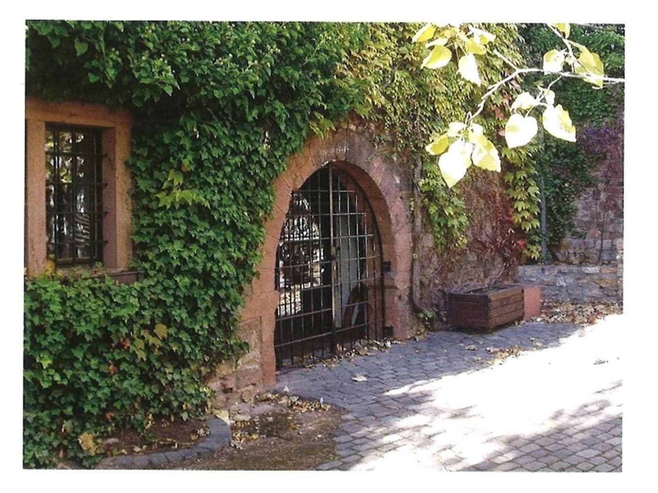 Prodej domu 360 m², pozemek 954 m², Graugasse 8, Oestrich-Winkel, Hessen Prodej domu 360 m², pozemek 954 m², Graugasse 8, Oestrich-Winkel, Hessen