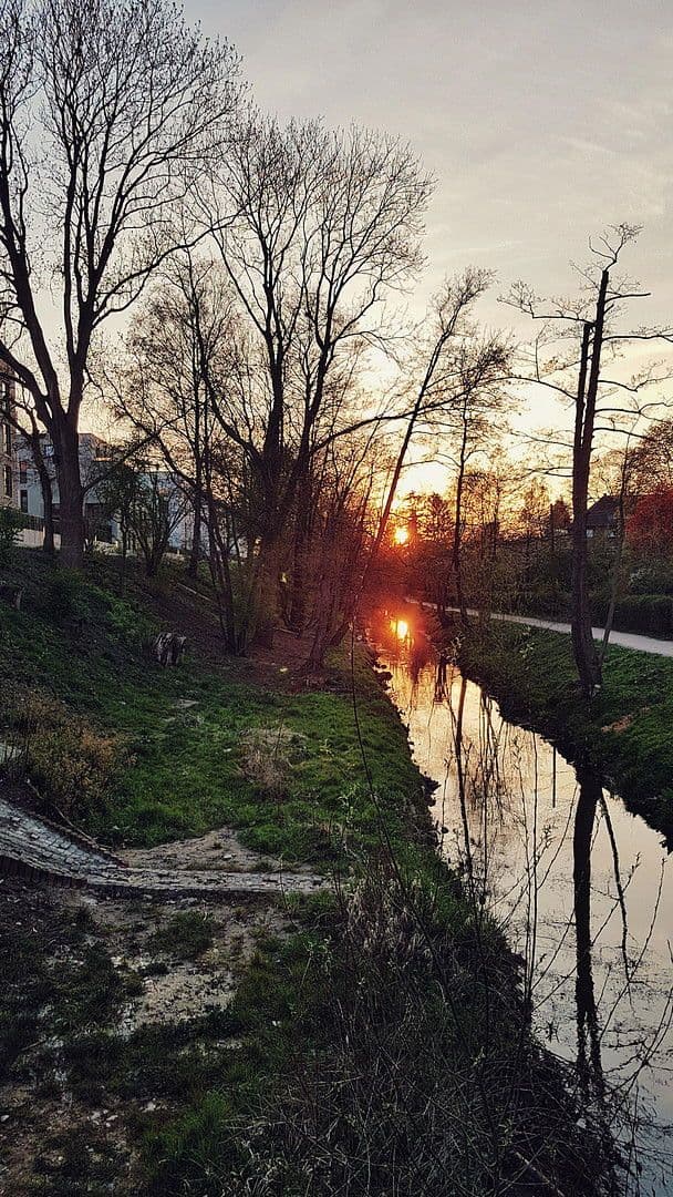 Prodej bytu 3+1 95 m², Hamburg, Hamburg Prodej bytu 3+1 95 m², Hamburg, Hamburg