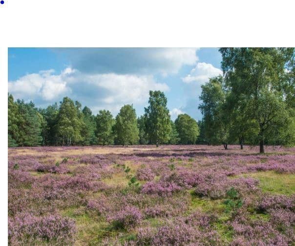 Pronájem domu 115 m², pozemek 600 m², Paderborn, Severní Porýní-Vestfálsko Pronájem domu 115 m², pozemek 600 m², Paderborn, Severní Porýní-Vestfálsko