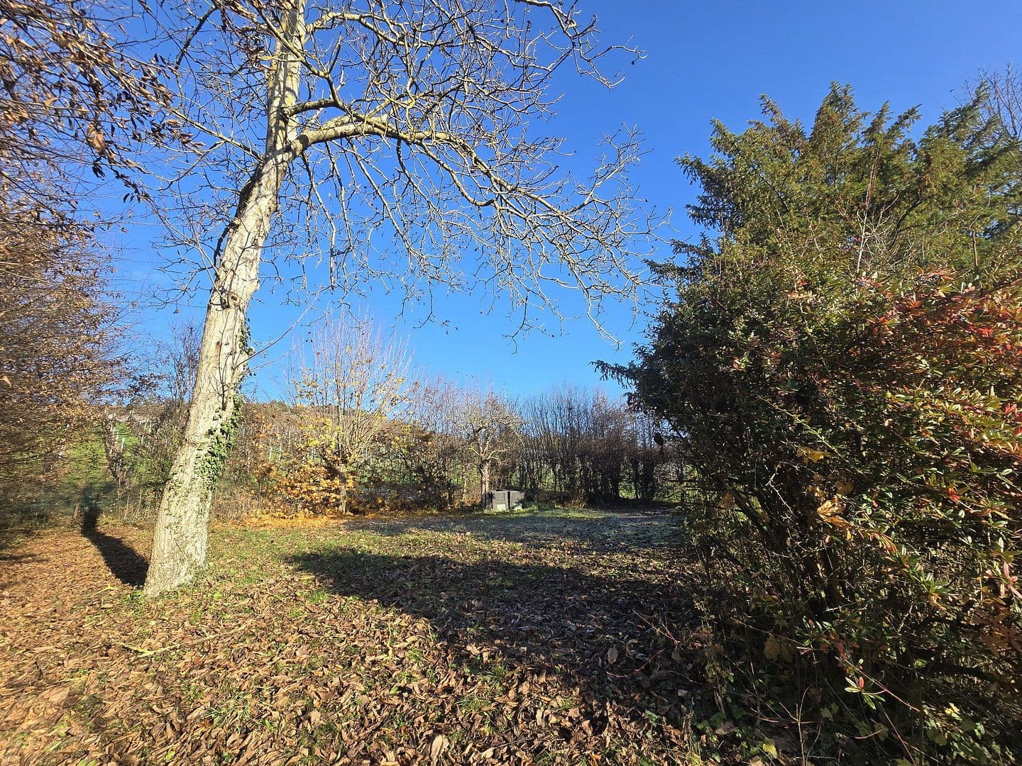 Prodej domu 321 m², pozemek 2.441 m², Triefenstein, Bavorsko Prodej domu 321 m², pozemek 2.441 m², Triefenstein, Bavorsko