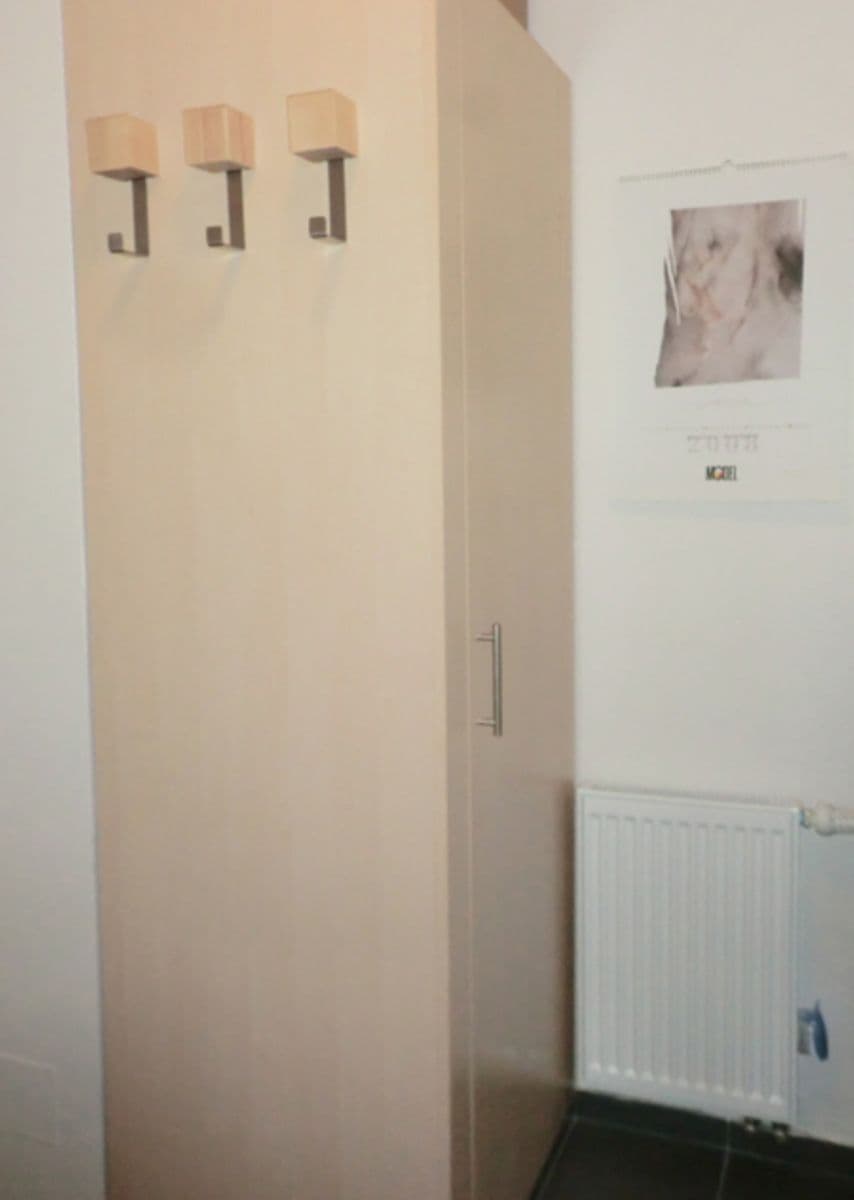 Pronájem bytu 1+kk 49 m², U Zátiší, Praha, Praha Pronájem bytu 1+kk 49 m², U Zátiší, Praha, Praha