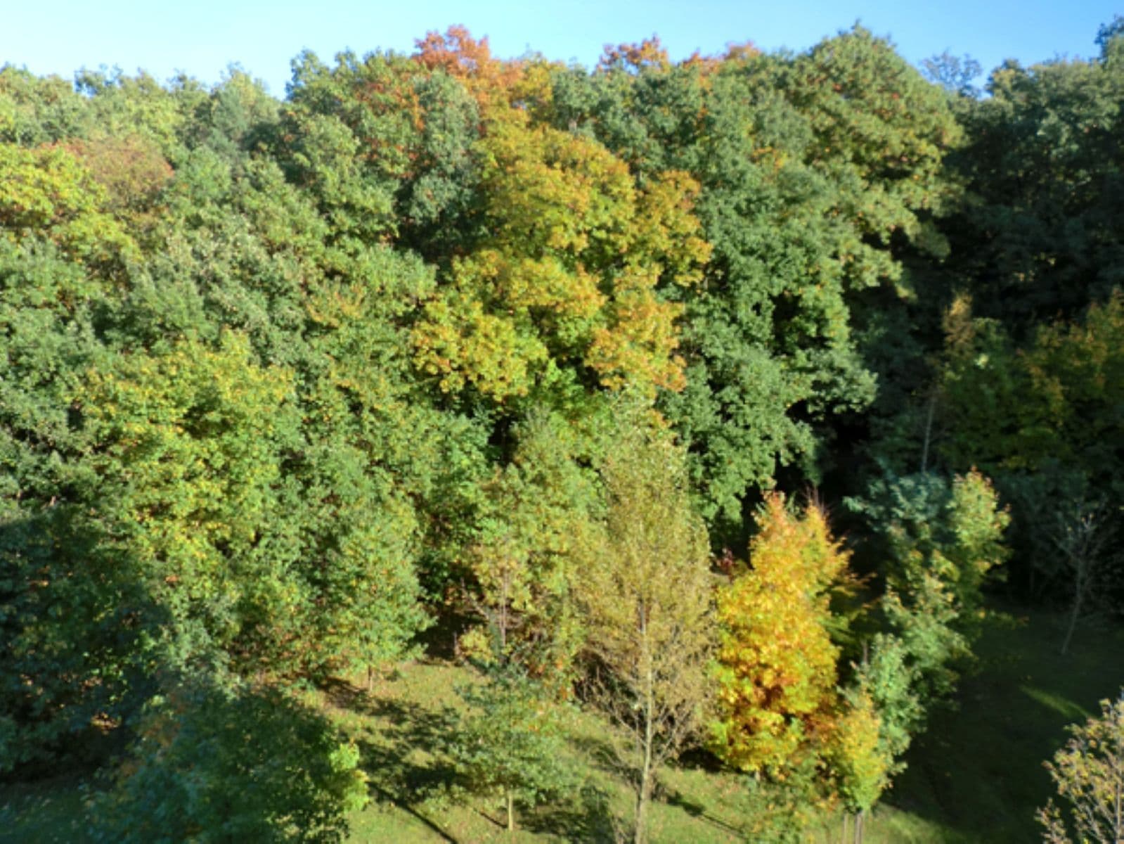 Pronájem bytu 1+kk 49 m², U Zátiší, Praha, Praha Pronájem bytu 1+kk 49 m², U Zátiší, Praha, Praha