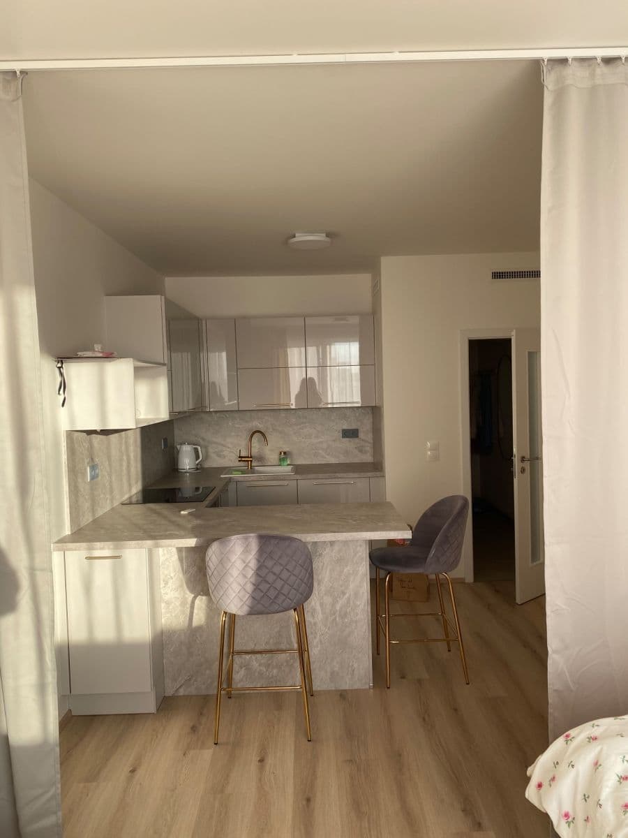 Pronájem bytu 1+kk 32 m², Sobí, Praha, Praha Pronájem bytu 1+kk 32 m², Sobí, Praha, Praha
