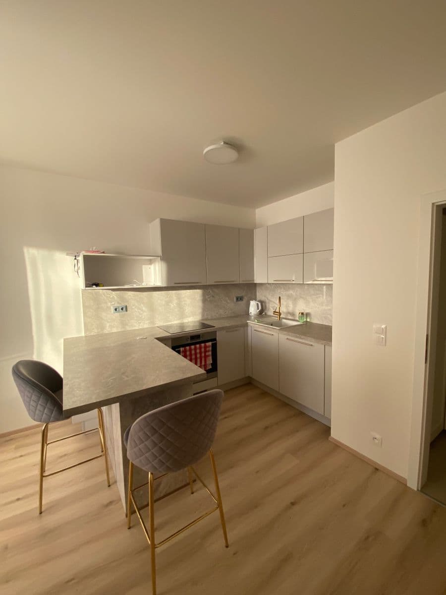 Pronájem bytu 1+kk 32 m², Sobí, Praha, Praha Pronájem bytu 1+kk 32 m², Sobí, Praha, Praha