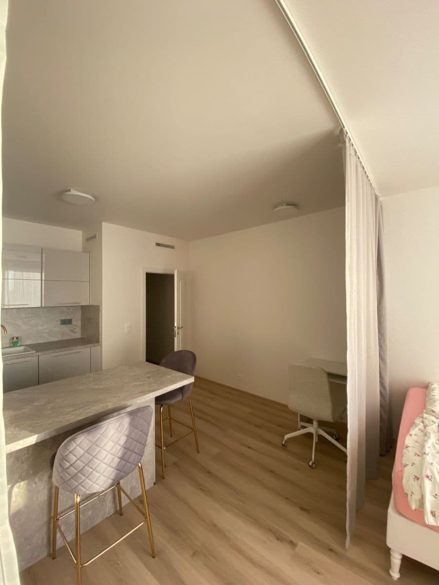 Pronájem bytu 1+kk 32 m², Sobí, Praha, Praha Pronájem bytu 1+kk 32 m², Sobí, Praha, Praha