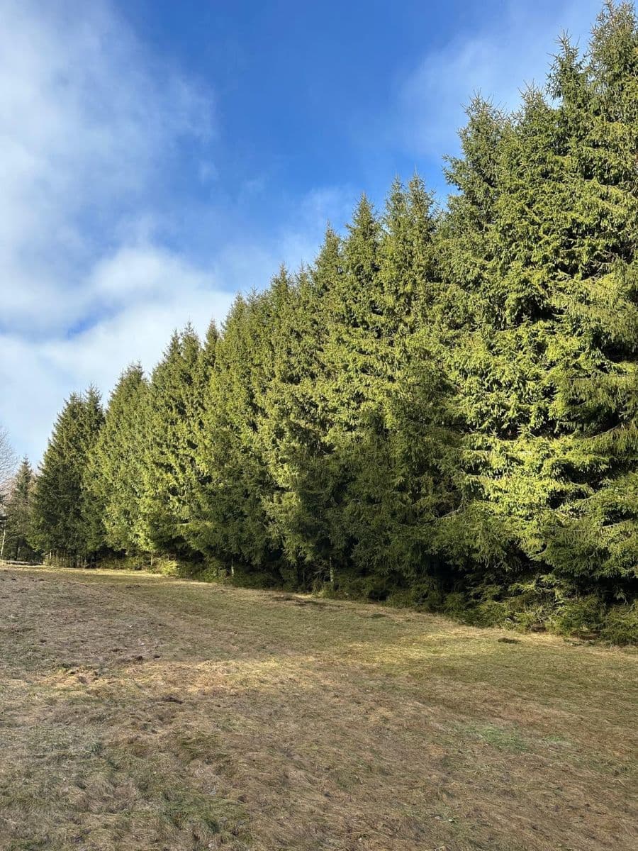 Prodej pozemku 11.665 m², Červený Kostelec, Královéhradecký kraj Prodej pozemku 11.665 m², Červený Kostelec, Královéhradecký kraj