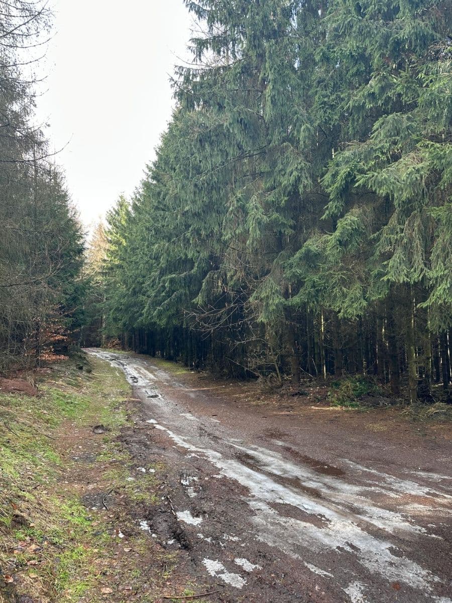 Prodej pozemku 11.665 m², Červený Kostelec, Královéhradecký kraj Prodej pozemku 11.665 m², Červený Kostelec, Královéhradecký kraj