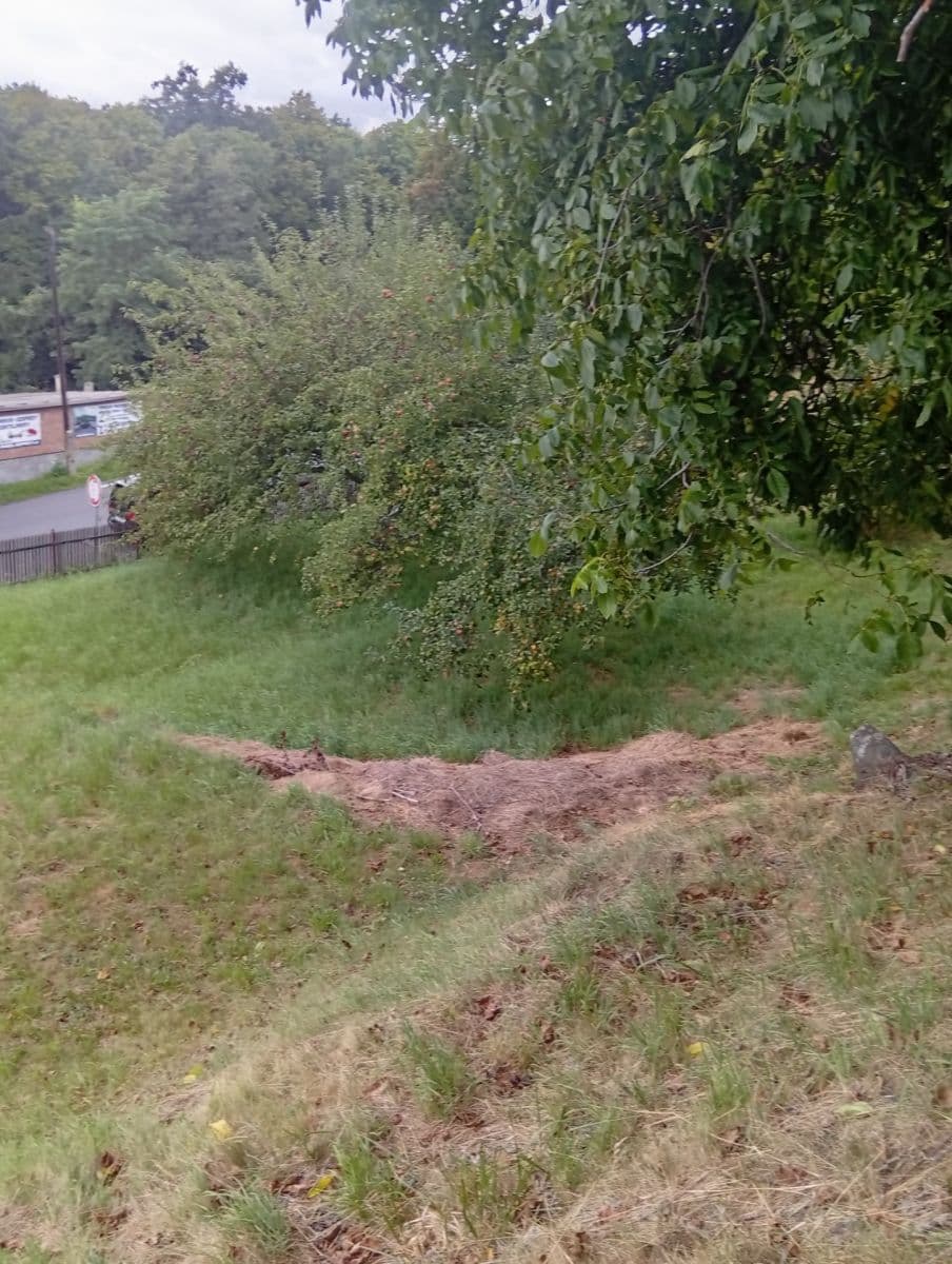 Pronájem pozemku 1.402 m², Na Odboji, Březnice, Středočeský kraj Pronájem pozemku 1.402 m², Na Odboji, Březnice, Středočeský kraj