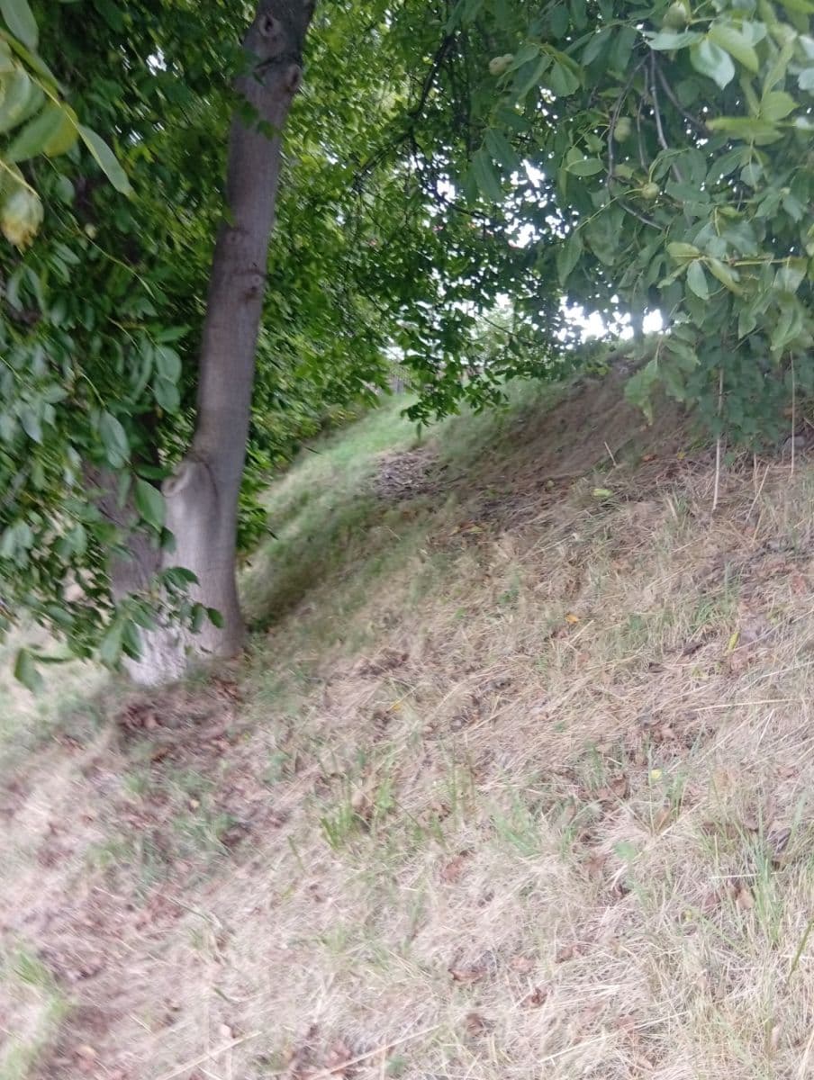 Pronájem pozemku 1.402 m², Na Odboji, Březnice, Středočeský kraj Pronájem pozemku 1.402 m², Na Odboji, Březnice, Středočeský kraj