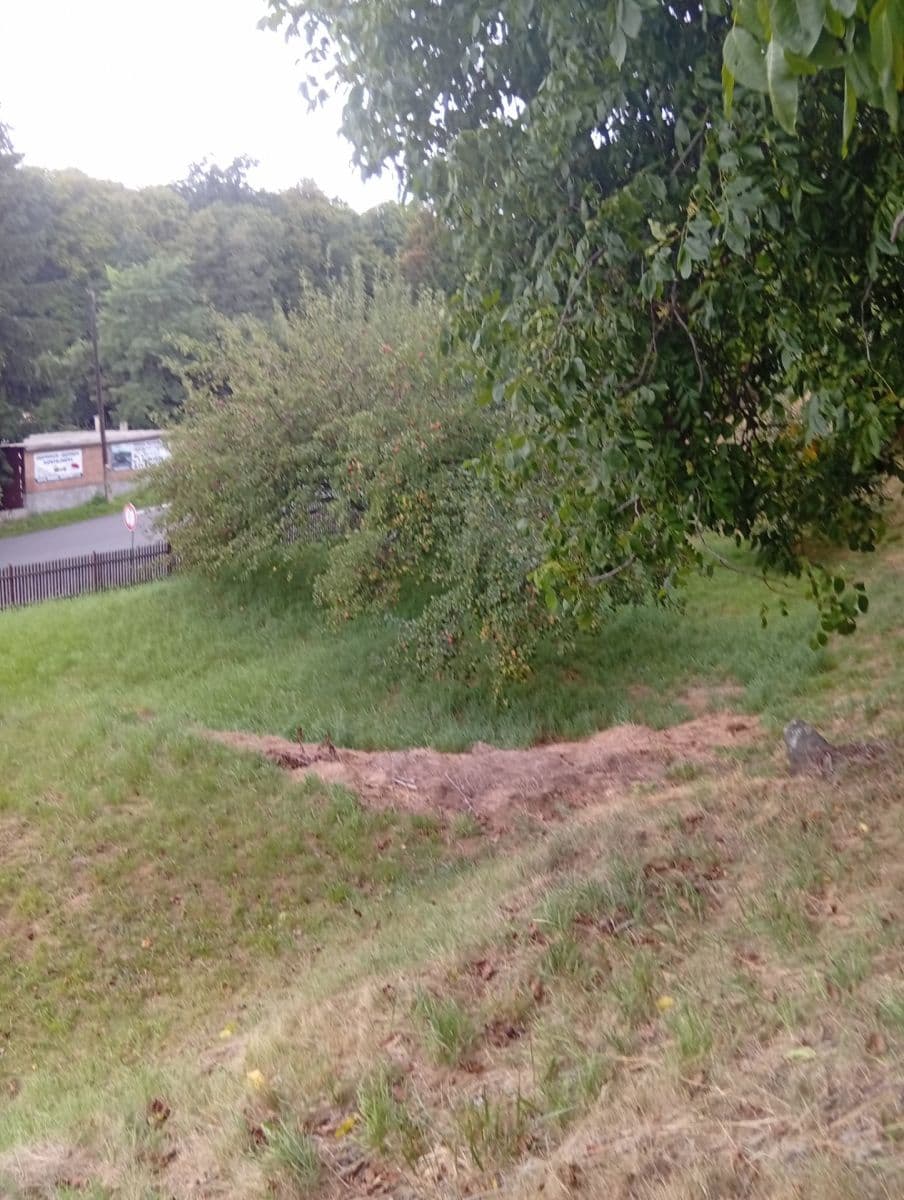 Pronájem pozemku 1.402 m², Na Odboji, Březnice, Středočeský kraj Pronájem pozemku 1.402 m², Na Odboji, Březnice, Středočeský kraj