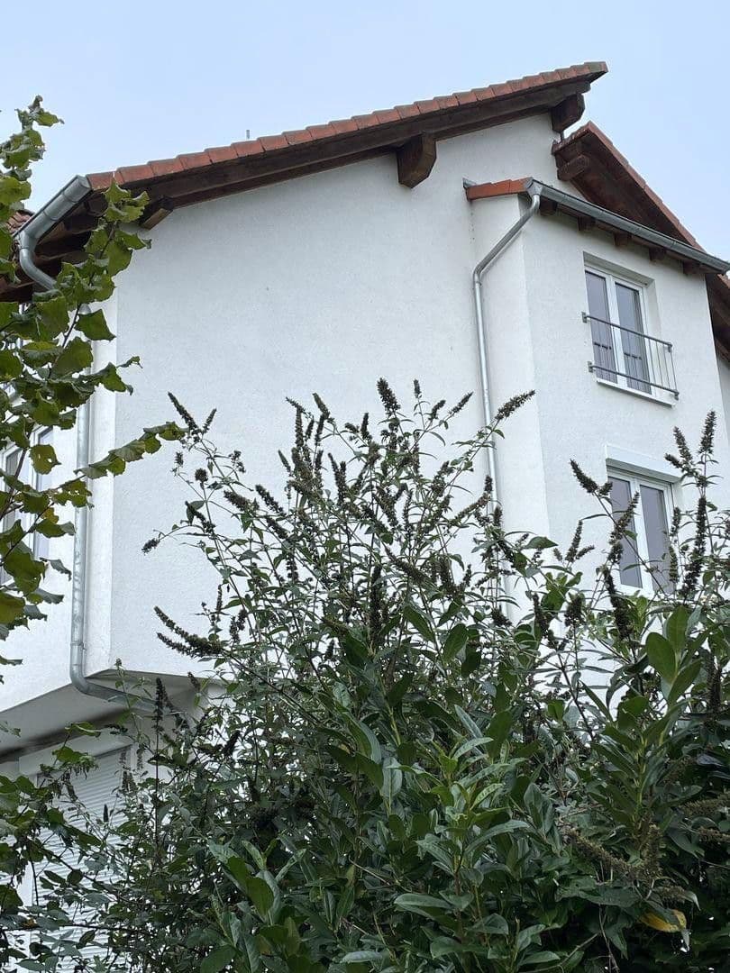 Prodej domu 160 m², pozemek 300 m², Groß-Zimmern, Hessen Prodej domu 160 m², pozemek 300 m², Groß-Zimmern, Hessen