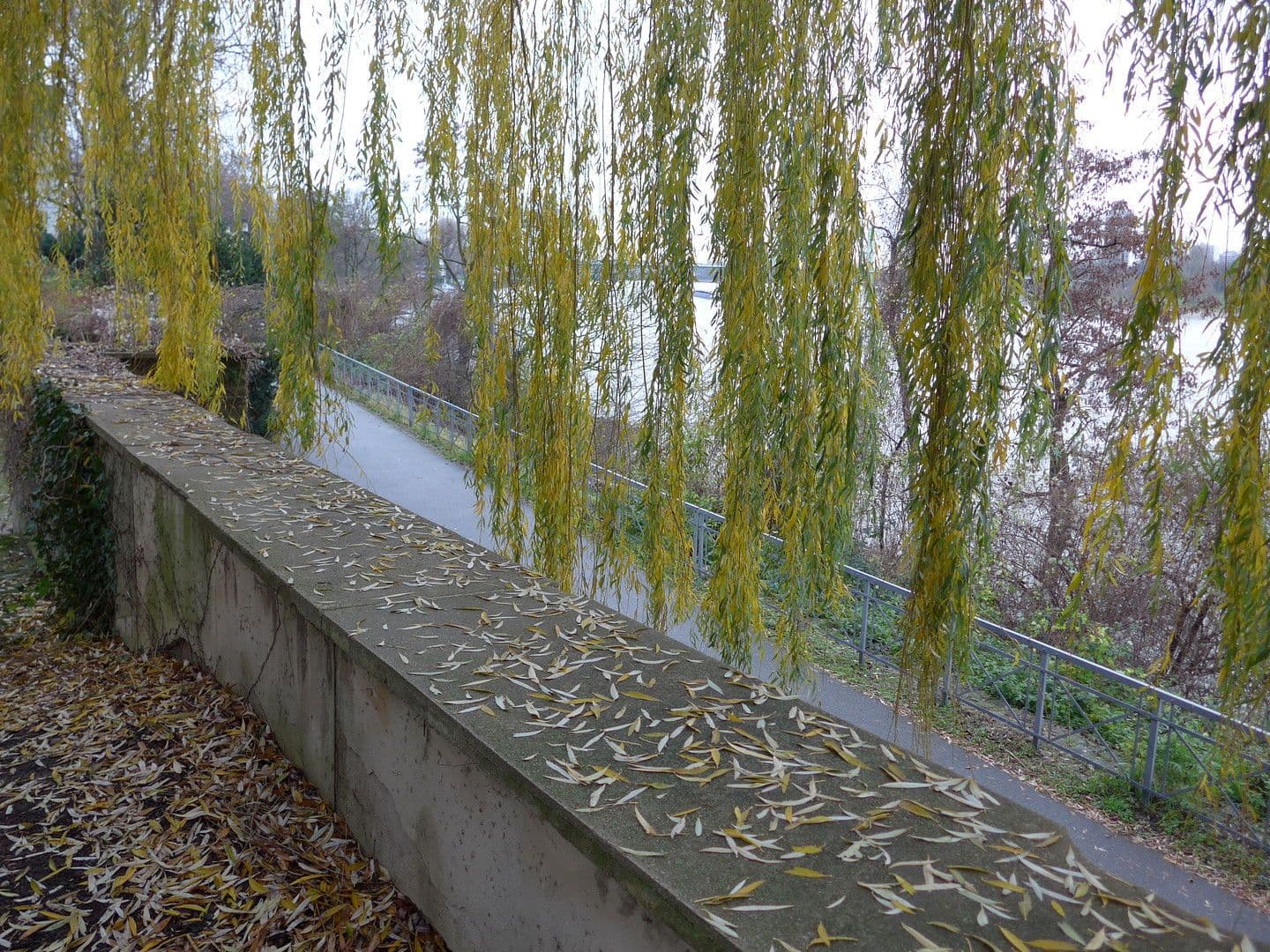 Pronájem bytu 1+1 42 m², Düsseldorfer Str. 49, Köln, Severní Porýní-Vestfálsko Pronájem bytu 1+1 42 m², Düsseldorfer Str. 49, Köln, Severní Porýní-Vestfálsko