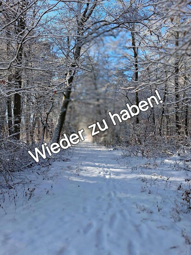 Prodej domu 250 m², pozemek 2.300 m², Emmerting, Bavorsko Prodej domu 250 m², pozemek 2.300 m², Emmerting, Bavorsko