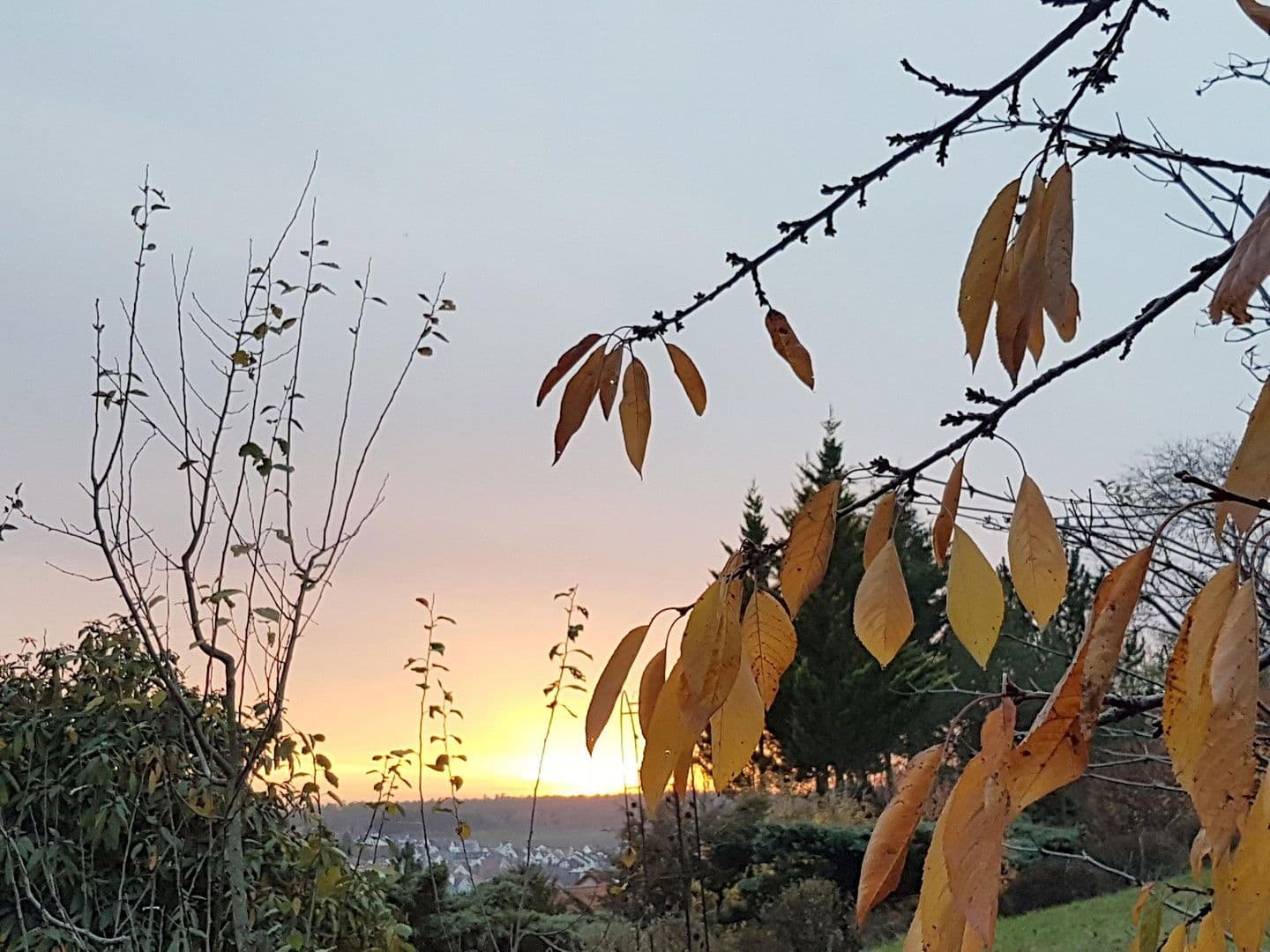 Pronájem domu 259 m², pozemek 1.800 m², Wimsheim, Bádensko-Württembersko Pronájem domu 259 m², pozemek 1.800 m², Wimsheim, Bádensko-Württembersko