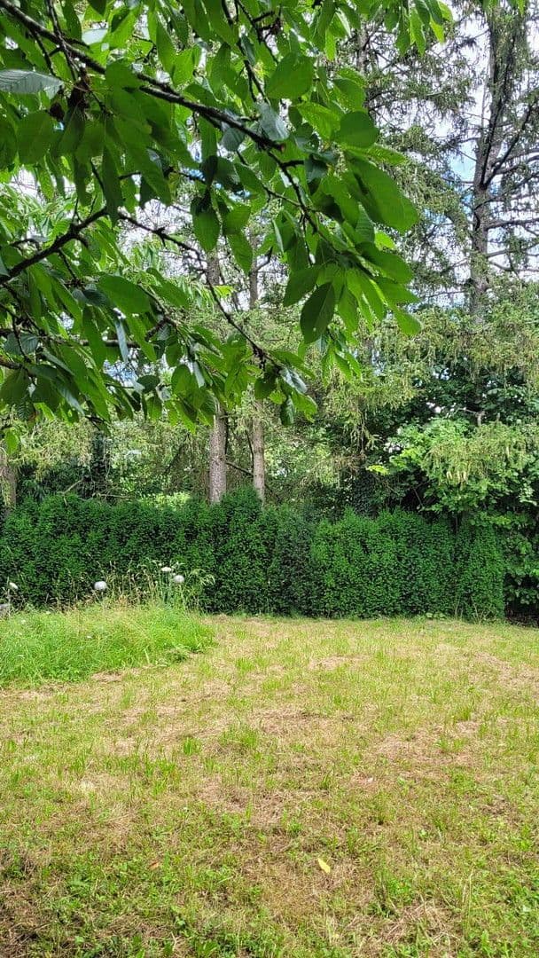 Pronájem domu 259 m², pozemek 1.800 m², Wimsheim, Bádensko-Württembersko Pronájem domu 259 m², pozemek 1.800 m², Wimsheim, Bádensko-Württembersko