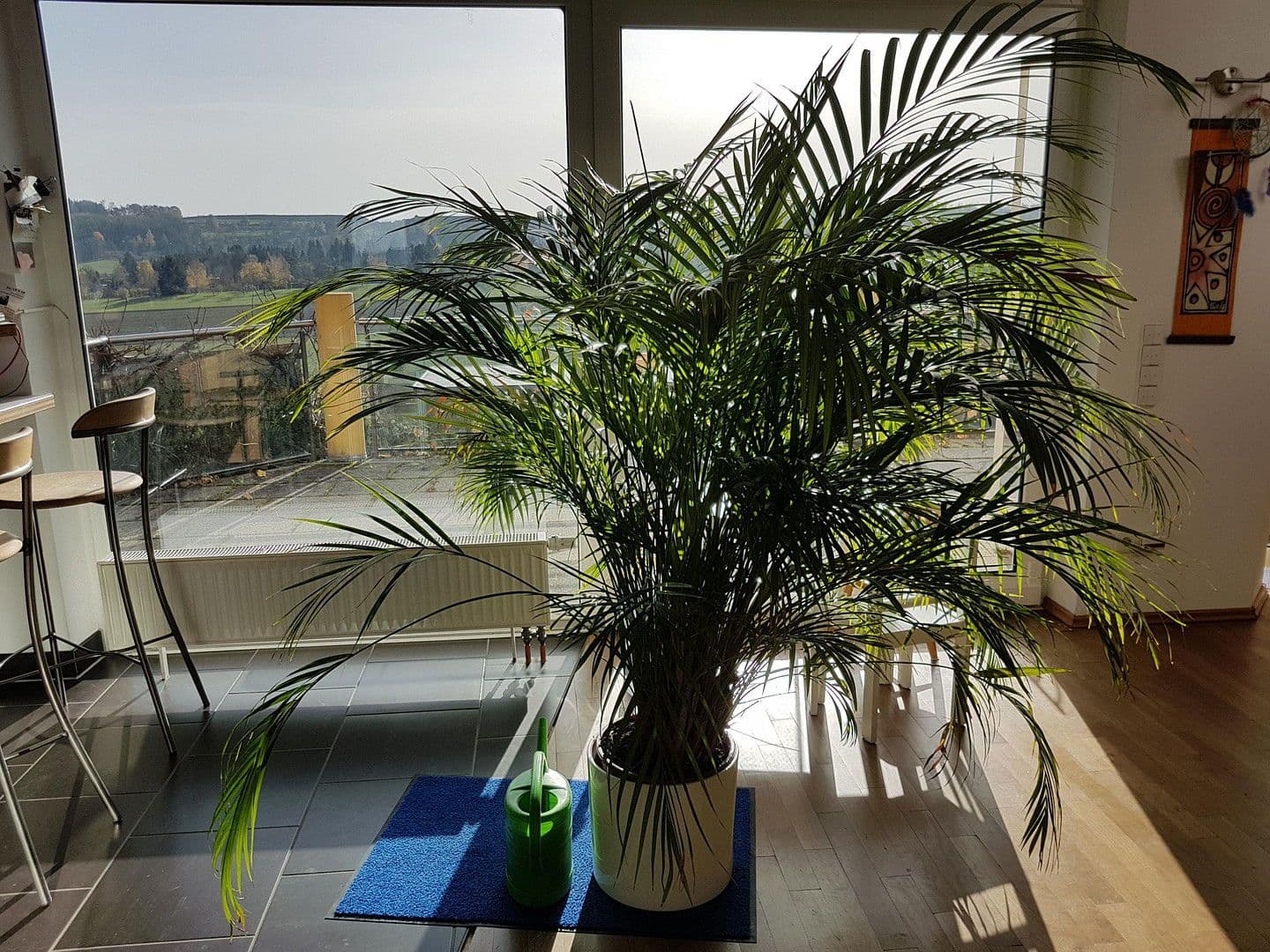 Pronájem domu 259 m², pozemek 1.800 m², Wimsheim, Bádensko-Württembersko Pronájem domu 259 m², pozemek 1.800 m², Wimsheim, Bádensko-Württembersko