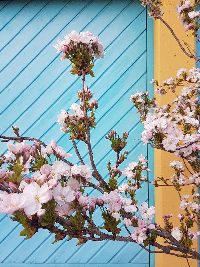 Pronájem domu 259 m², pozemek 1.800 m², Wimsheim, Bádensko-Württembersko Pronájem domu 259 m², pozemek 1.800 m², Wimsheim, Bádensko-Württembersko