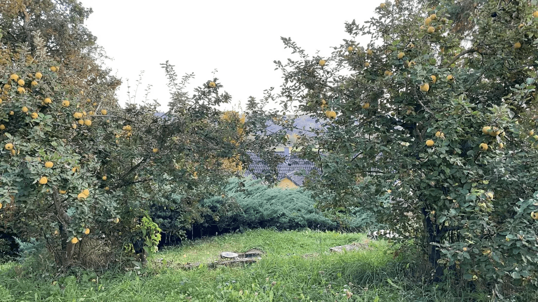 Pronájem domu 259 m², pozemek 1.800 m², Wimsheim, Bádensko-Württembersko Pronájem domu 259 m², pozemek 1.800 m², Wimsheim, Bádensko-Württembersko