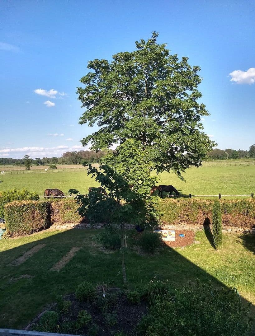 Pronájem bytu 6+1 150 m², Fürstengrund 18, Nordwalde, Severní Porýní-Vestfálsko Pronájem bytu 6+1 150 m², Fürstengrund 18, Nordwalde, Severní Porýní-Vestfálsko