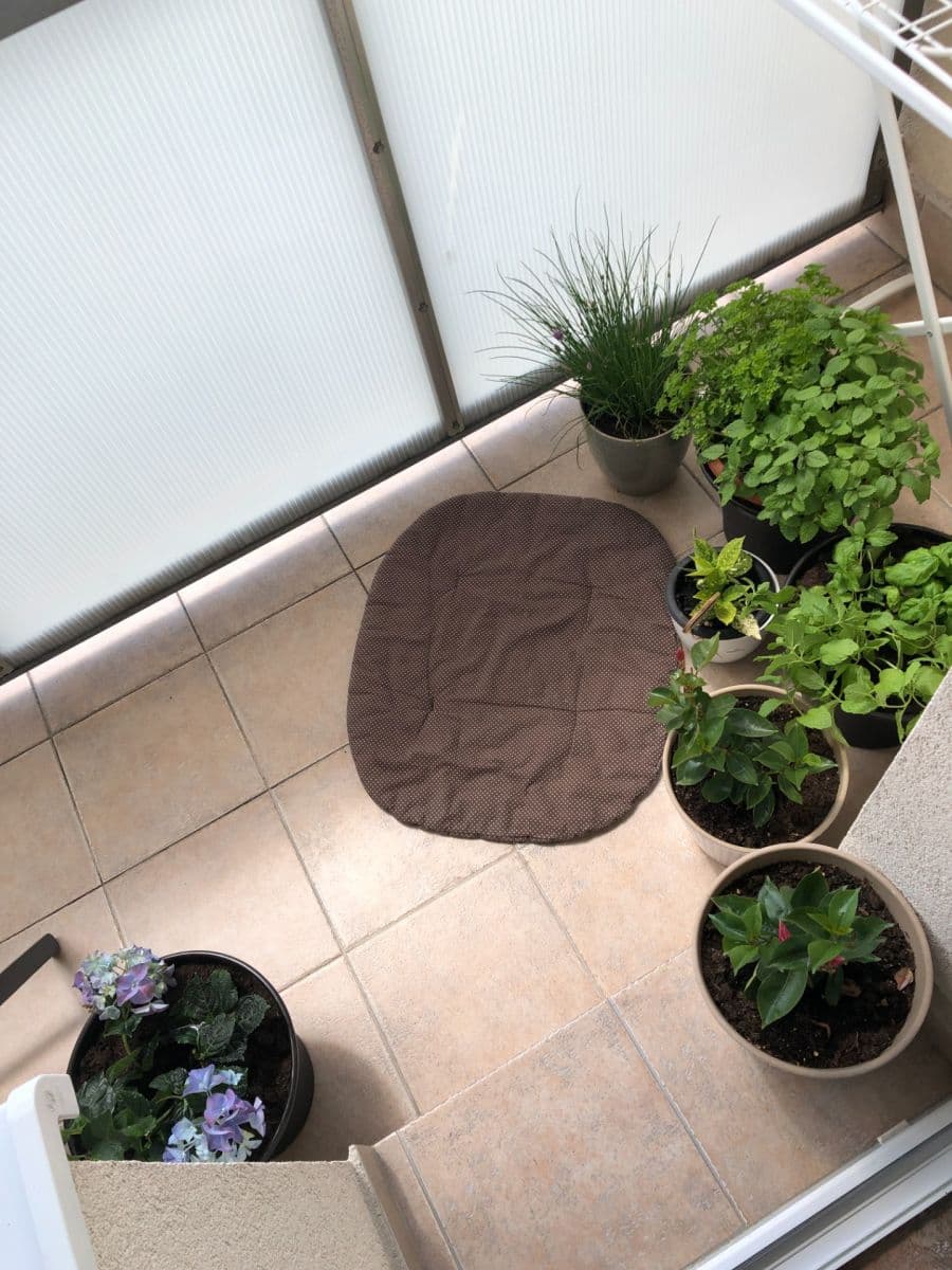 Pronájem bytu 3+1 80 m², Smetanova, Bílovec, Moravskoslezský kraj Pronájem bytu 3+1 80 m², Smetanova, Bílovec, Moravskoslezský kraj