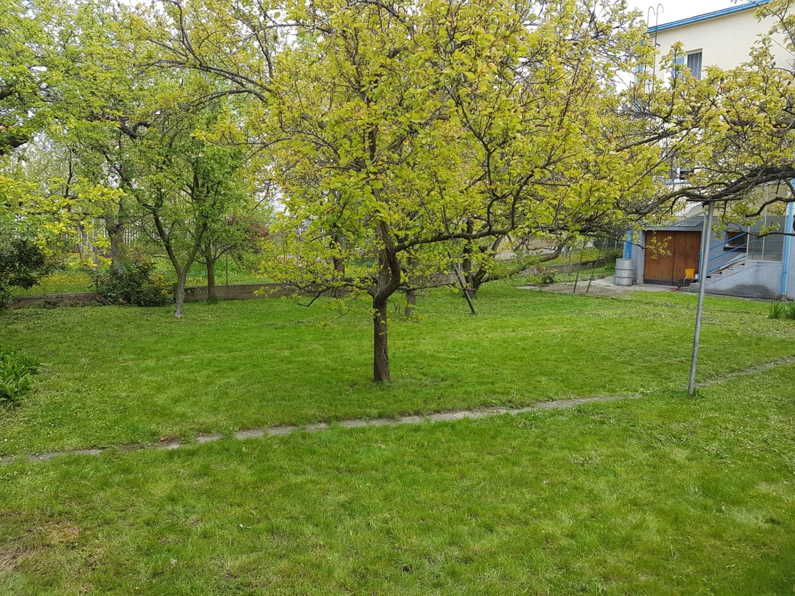 Pronájem bytu 2+1 50 m², Svatopluka Čecha, Kroměříž, Zlínský kraj Pronájem bytu 2+1 50 m², Svatopluka Čecha, Kroměříž, Zlínský kraj