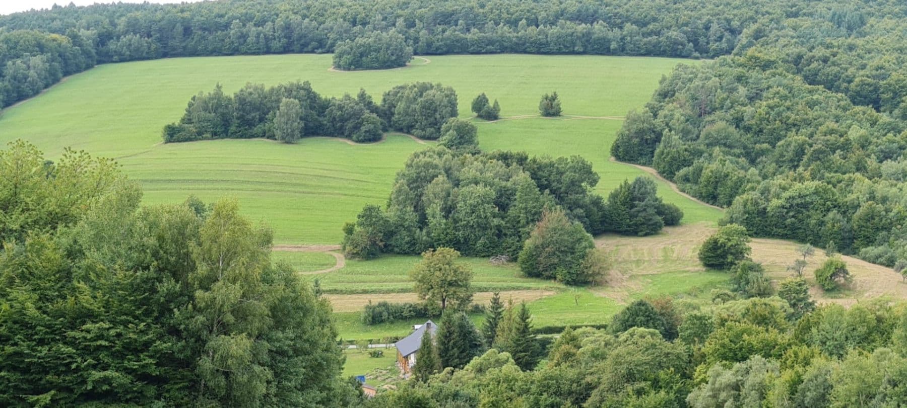 Prodej pozemku 3.131 m², Vyšná Pisaná, Prešovský kraj Prodej pozemku 3.131 m², Vyšná Pisaná, Prešovský kraj