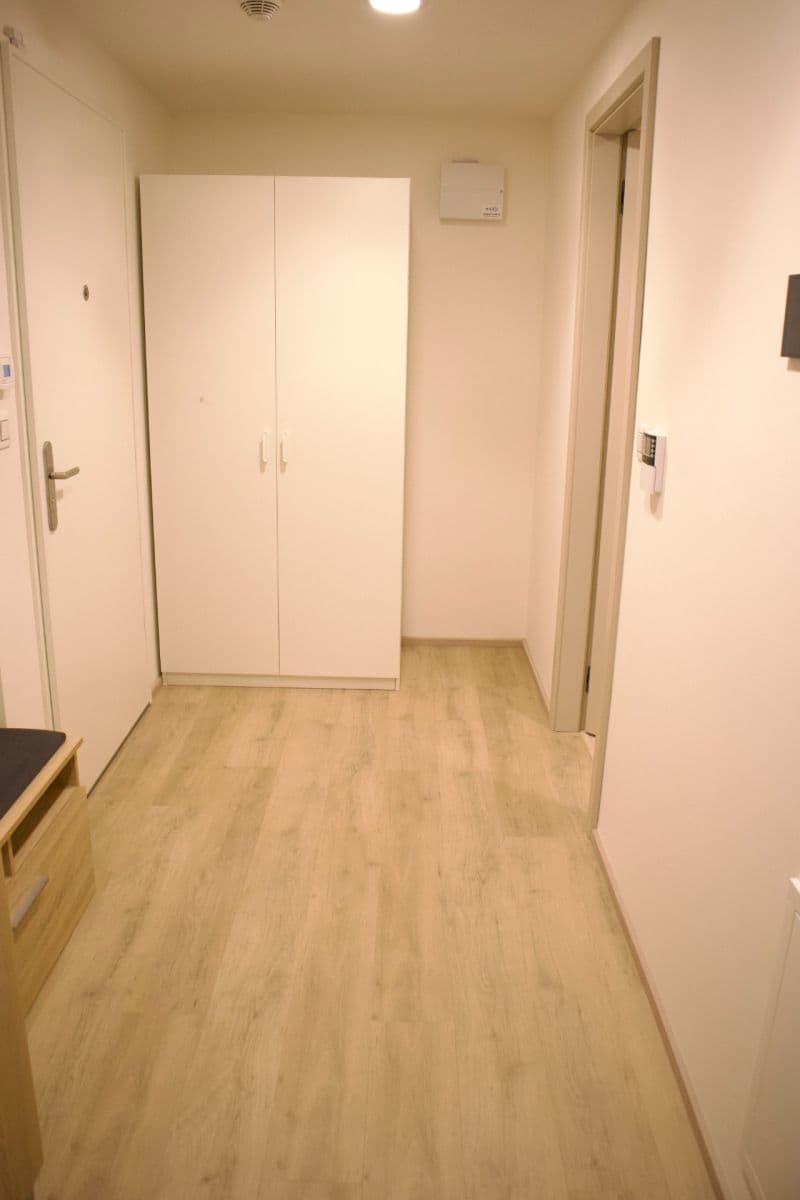 Pronájem bytu 1+kk 40 m², Jana Želivského, Praha, Praha Pronájem bytu 1+kk 40 m², Jana Želivského, Praha, Praha