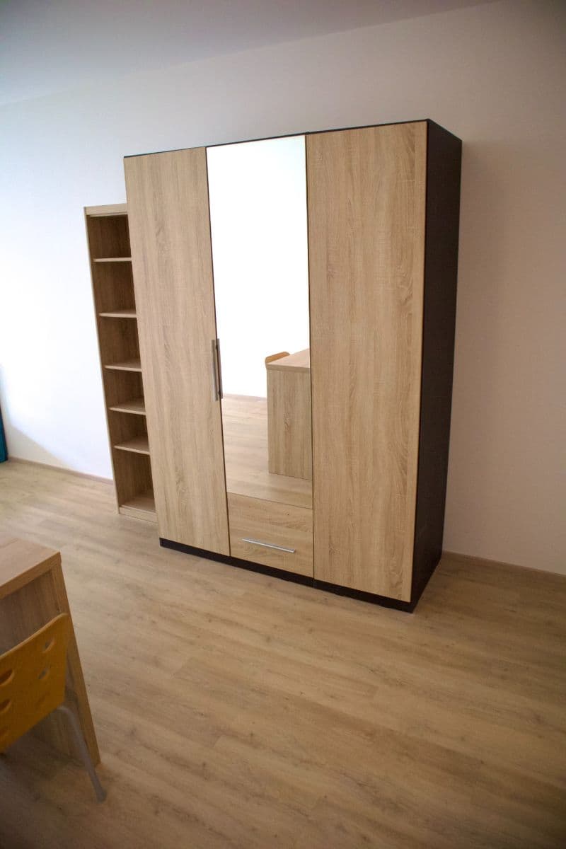 Pronájem bytu 1+kk 40 m², Jana Želivského, Praha, Praha Pronájem bytu 1+kk 40 m², Jana Želivského, Praha, Praha