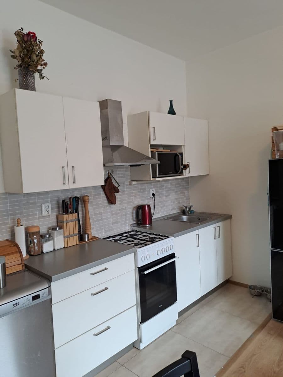 Pronájem bytu 2+kk 49 m², Veslařská, Brno, Jihomoravský kraj Pronájem bytu 2+kk 49 m², Veslařská, Brno, Jihomoravský kraj