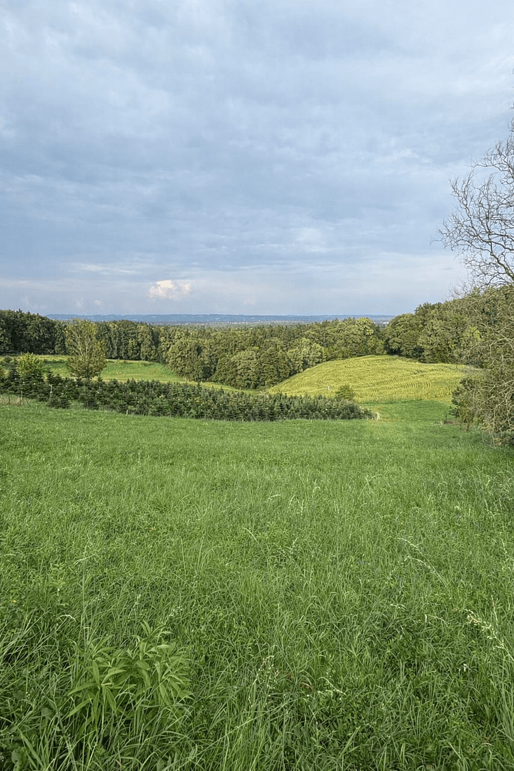 Prodej pozemku 1.375 m², Maxlonerstraße, Maxlon, Štýrsko Prodej pozemku 1.375 m², Maxlonerstraße, Maxlon, Štýrsko