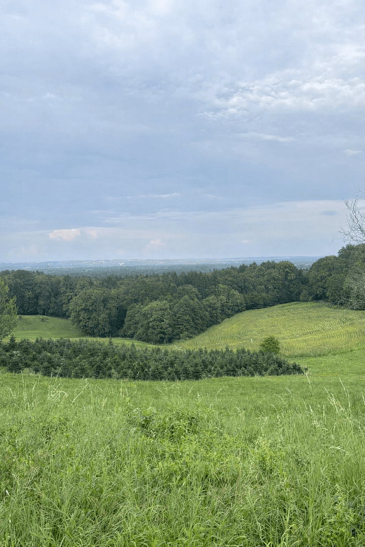 Prodej pozemku 1.375 m², Maxlonerstraße, Maxlon, Štýrsko Prodej pozemku 1.375 m², Maxlonerstraße, Maxlon, Štýrsko