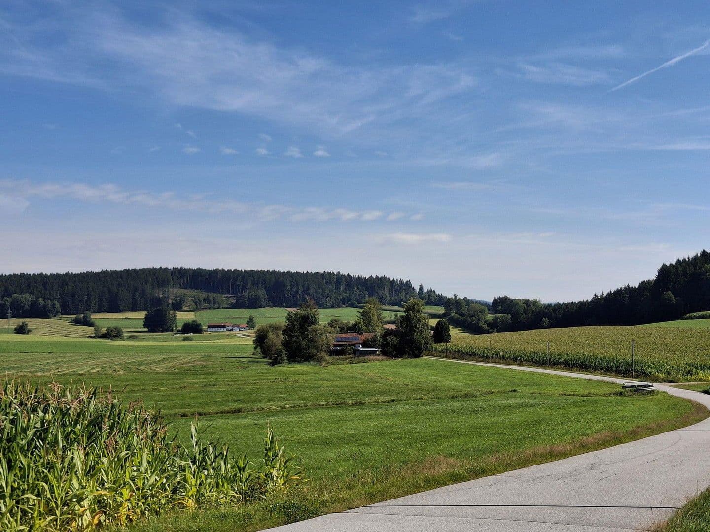 Prodej domu 144 m², pozemek 8.028 m², Regen, Bavorsko Prodej domu 144 m², pozemek 8.028 m², Regen, Bavorsko