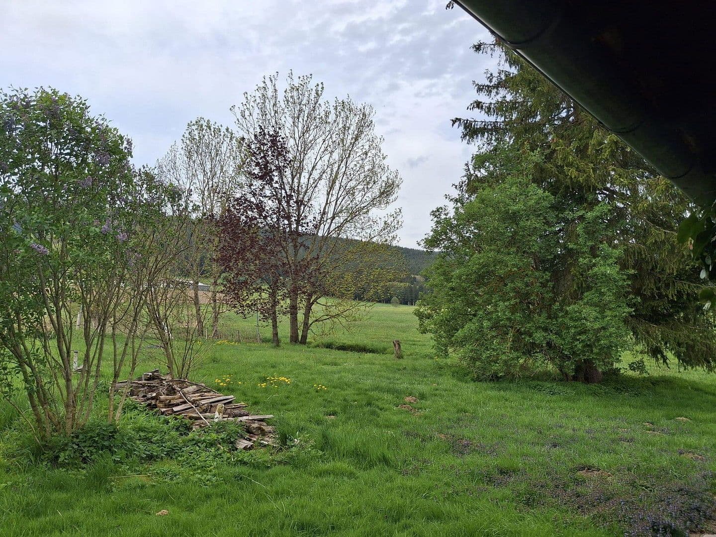 Prodej domu 144 m², pozemek 8.028 m², Regen, Bavorsko Prodej domu 144 m², pozemek 8.028 m², Regen, Bavorsko