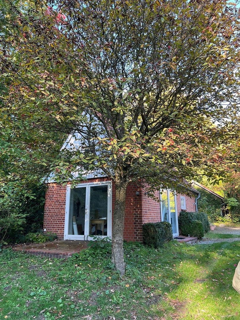 Pronájem domu 204 m², pozemek 5.000 m², Sterley, Šlesvicko-Holštýnsko Pronájem domu 204 m², pozemek 5.000 m², Sterley, Šlesvicko-Holštýnsko