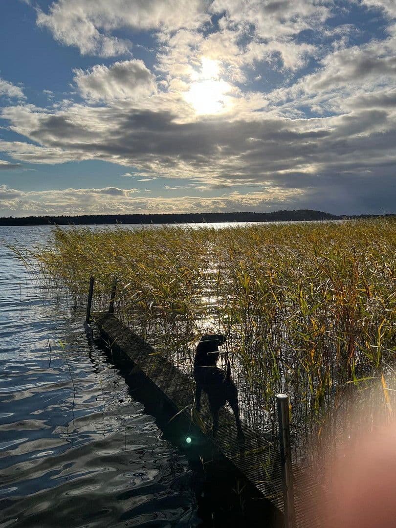 Pronájem domu 204 m², pozemek 5.000 m², Sterley, Šlesvicko-Holštýnsko Pronájem domu 204 m², pozemek 5.000 m², Sterley, Šlesvicko-Holštýnsko