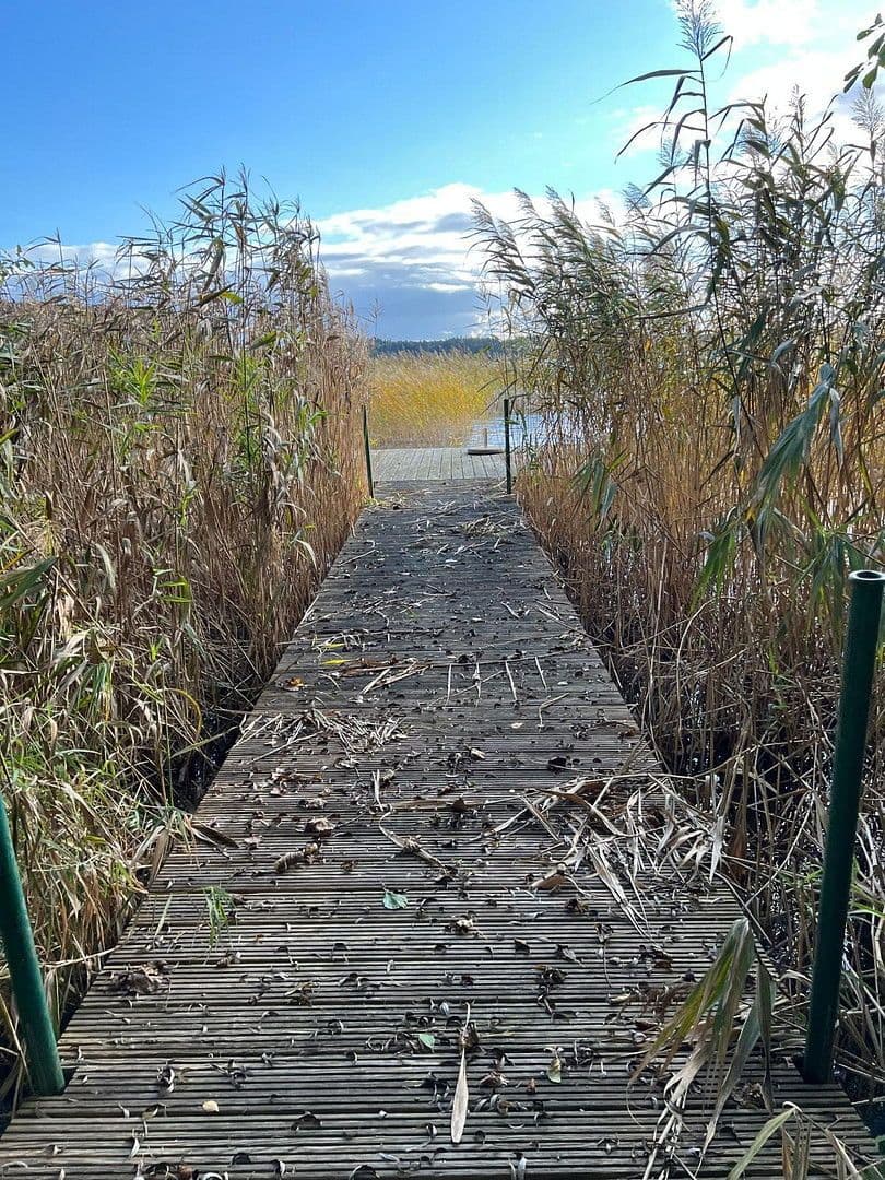 Pronájem domu 204 m², pozemek 5.000 m², Sterley, Šlesvicko-Holštýnsko Pronájem domu 204 m², pozemek 5.000 m², Sterley, Šlesvicko-Holštýnsko