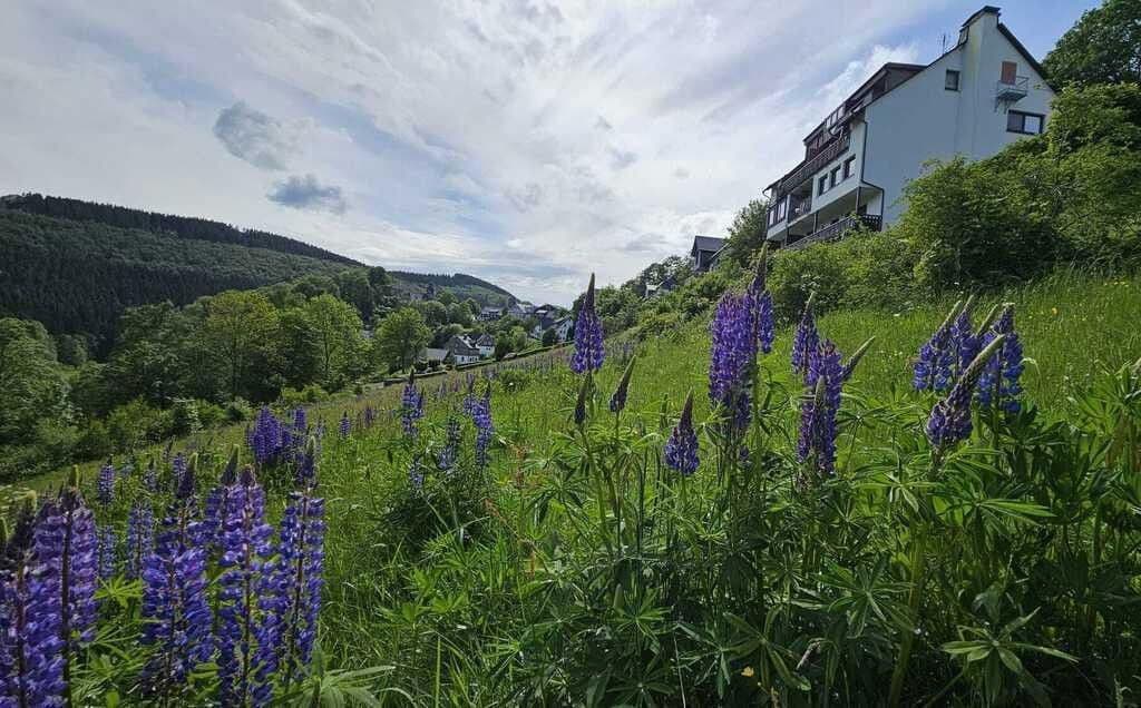 Prodej bytu 3+1 74 m², Schmallenberg, Severní Porýní-Vestfálsko Prodej bytu 3+1 74 m², Schmallenberg, Severní Porýní-Vestfálsko