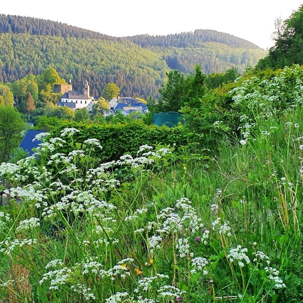 Prodej bytu 3+1 74 m², Schmallenberg, Severní Porýní-Vestfálsko Prodej bytu 3+1 74 m², Schmallenberg, Severní Porýní-Vestfálsko