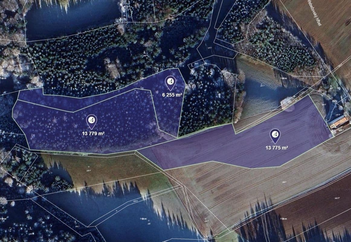 Prodej pozemku 41.677 m², Česká Rybná, Pardubický kraj Prodej pozemku 41.677 m², Česká Rybná, Pardubický kraj