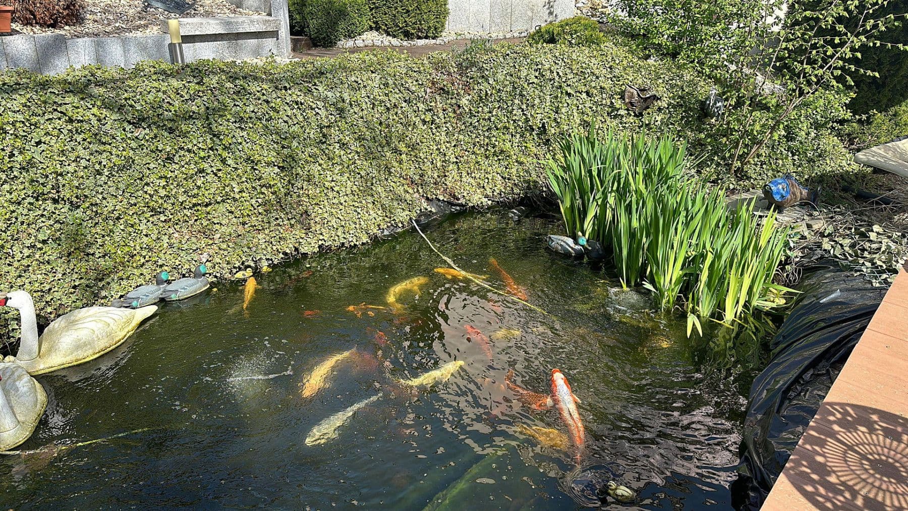 Prodej domu 387 m², pozemek 899 m², Rießstraße 20, BW, Magstadt, Bádensko-Württembersko Prodej domu 387 m², pozemek 899 m², Rießstraße 20, BW, Magstadt, Bádensko-Württembersko