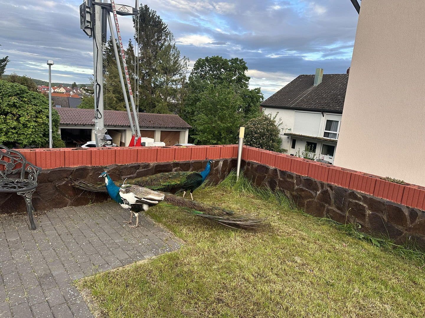 Prodej domu 387 m², pozemek 899 m², Rießstraße 20, BW, Magstadt, Bádensko-Württembersko Prodej domu 387 m², pozemek 899 m², Rießstraße 20, BW, Magstadt, Bádensko-Württembersko