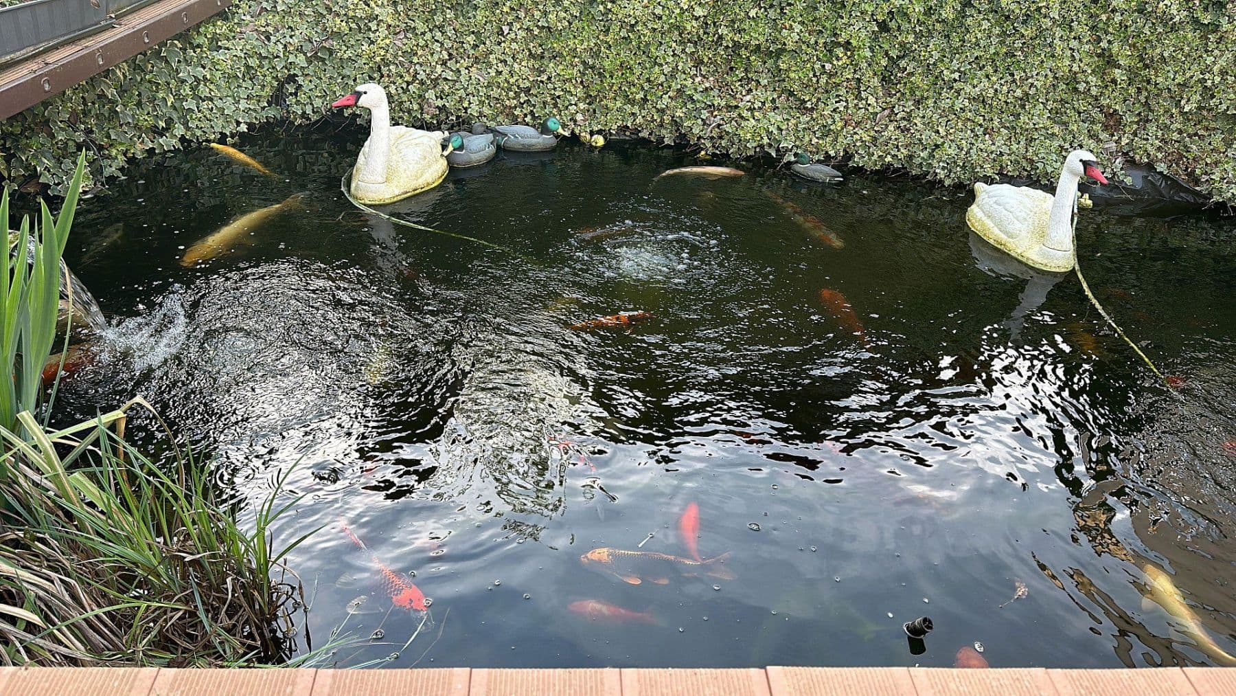 Prodej domu 387 m², pozemek 899 m², Rießstraße 20, BW, Magstadt, Bádensko-Württembersko Prodej domu 387 m², pozemek 899 m², Rießstraße 20, BW, Magstadt, Bádensko-Württembersko