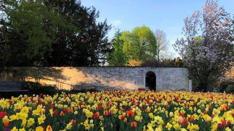 Prodej bytu 3+1 88 m², Maxfeldstr. 48, Nürnberg, Bavorsko Prodej bytu 3+1 88 m², Maxfeldstr. 48, Nürnberg, Bavorsko