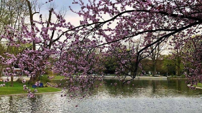 Prodej bytu 3+1 88 m², Maxfeldstr. 48, Nürnberg, Bavorsko Prodej bytu 3+1 88 m², Maxfeldstr. 48, Nürnberg, Bavorsko