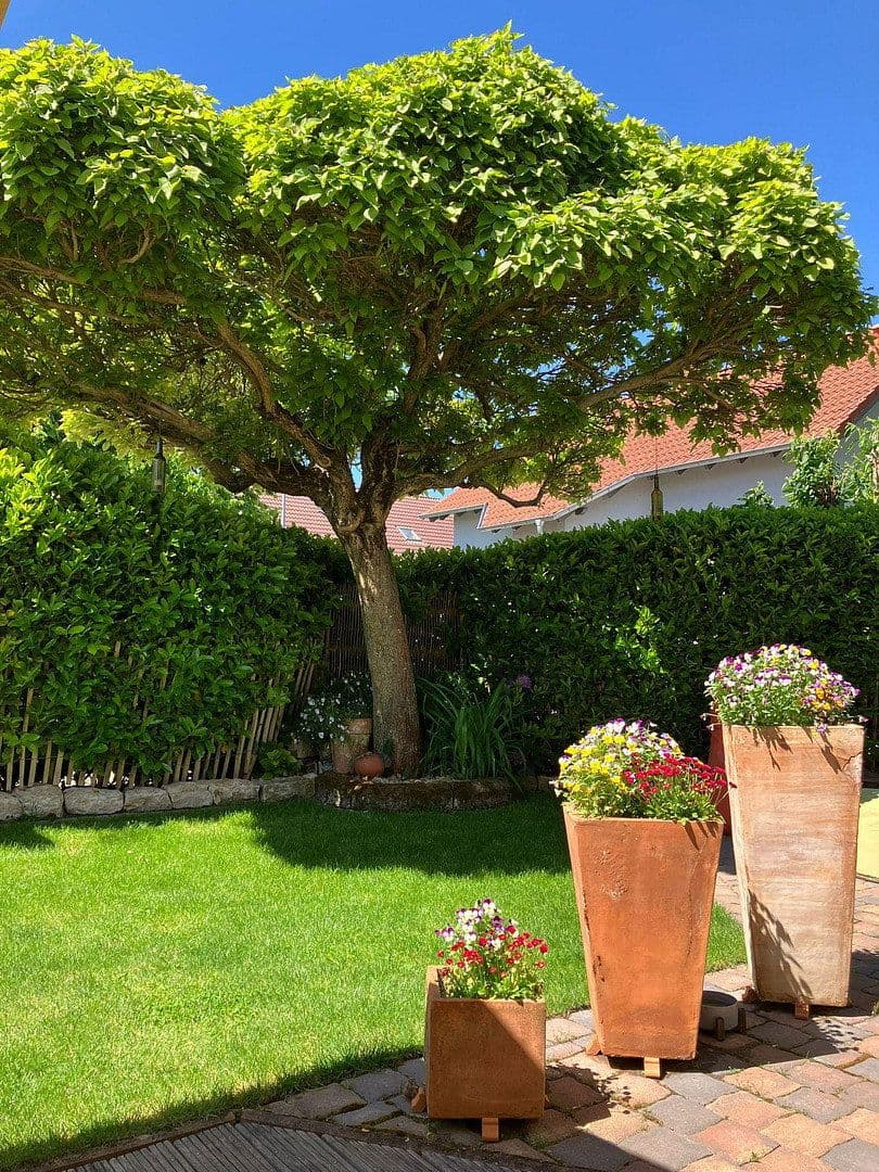 Prodej domu 162 m², pozemek 458 m², Udenheim, Porýní-Falc Prodej domu 162 m², pozemek 458 m², Udenheim, Porýní-Falc