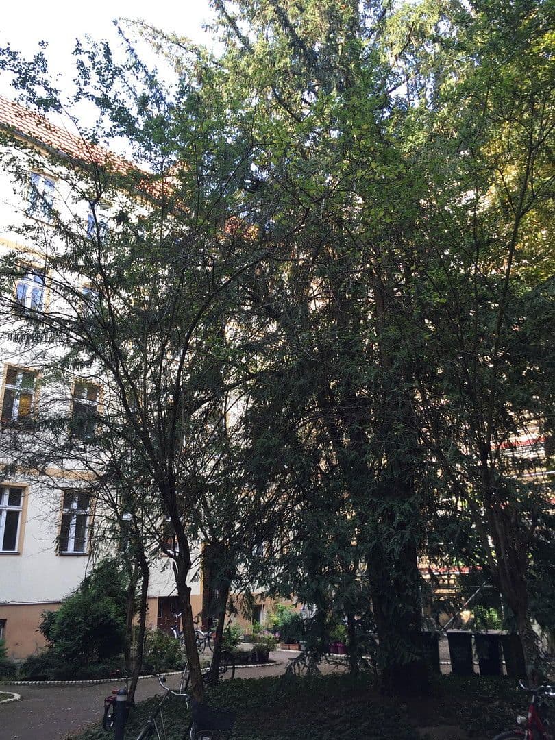 Prodej bytu 1+kk 40 m², Haupstraße 77, Berlin, Berlín Prodej bytu 1+kk 40 m², Haupstraße 77, Berlin, Berlín