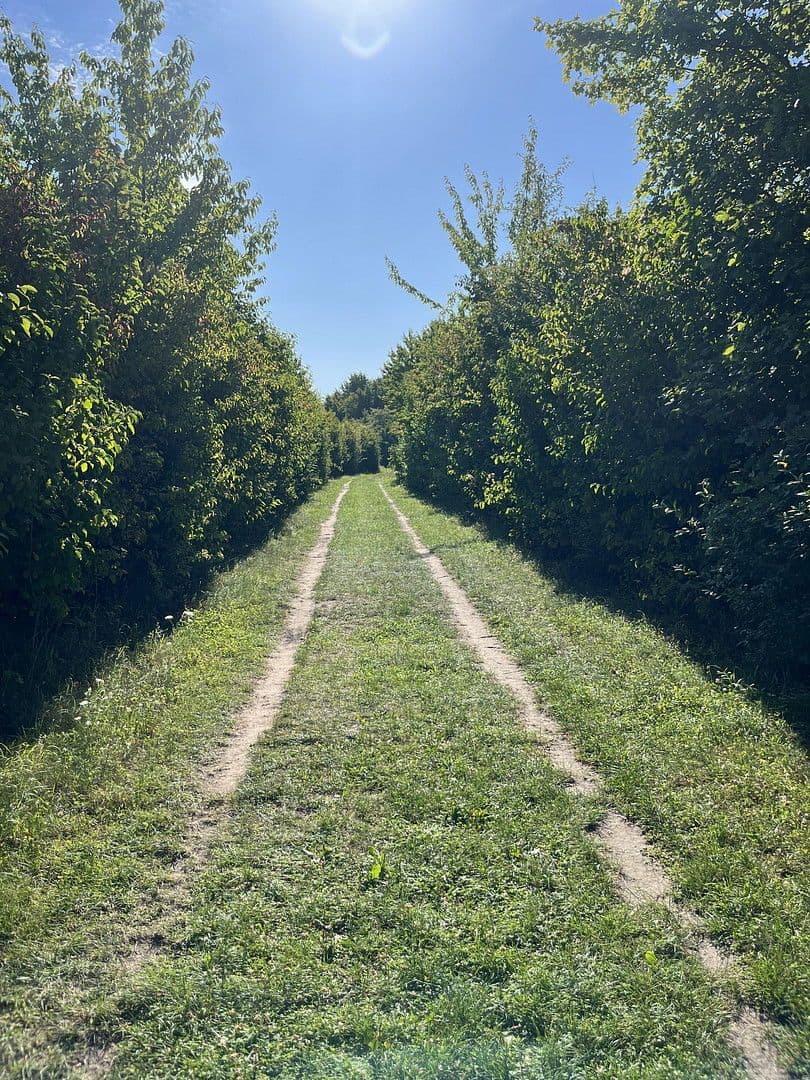 Prodej domu 128 m², pozemek 150 m², Hannover, Dolní Sasko Prodej domu 128 m², pozemek 150 m², Hannover, Dolní Sasko