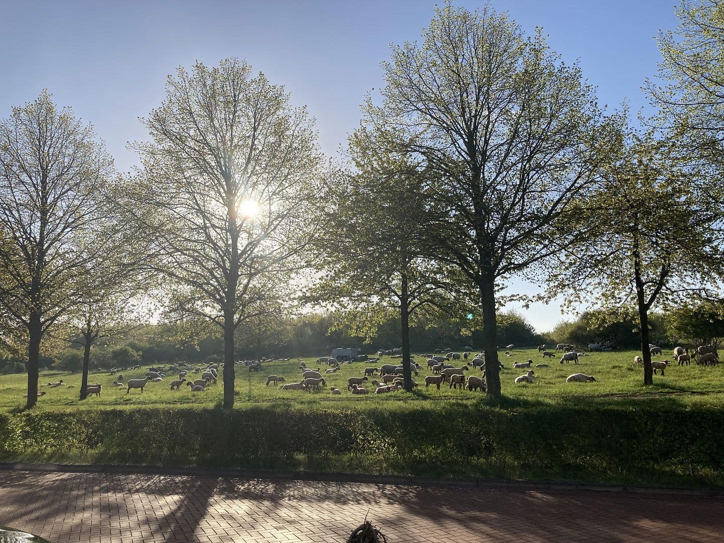 Prodej domu 128 m², pozemek 150 m², Hannover, Dolní Sasko Prodej domu 128 m², pozemek 150 m², Hannover, Dolní Sasko