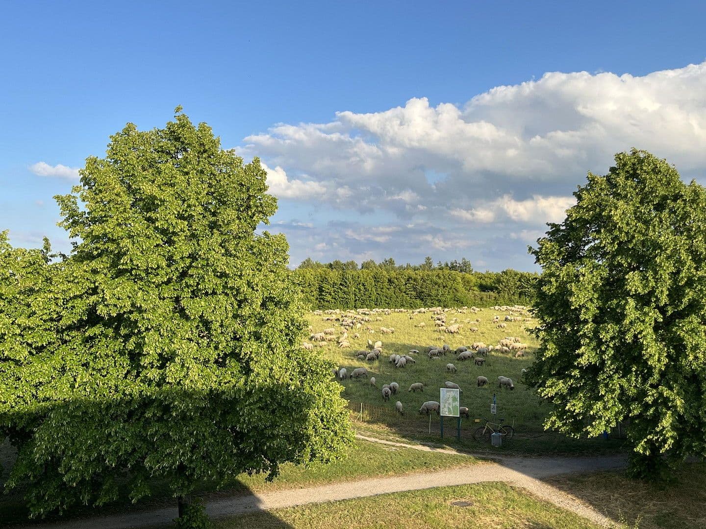 Prodej domu 128 m², pozemek 150 m², Hannover, Dolní Sasko Prodej domu 128 m², pozemek 150 m², Hannover, Dolní Sasko